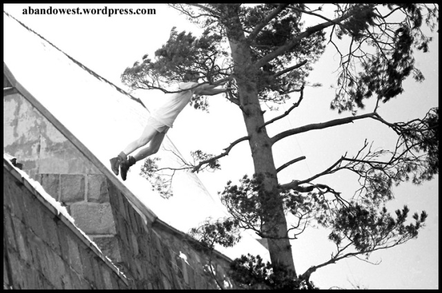 Stuntmannen hoppar från fästningsmuren till den vajande tallen